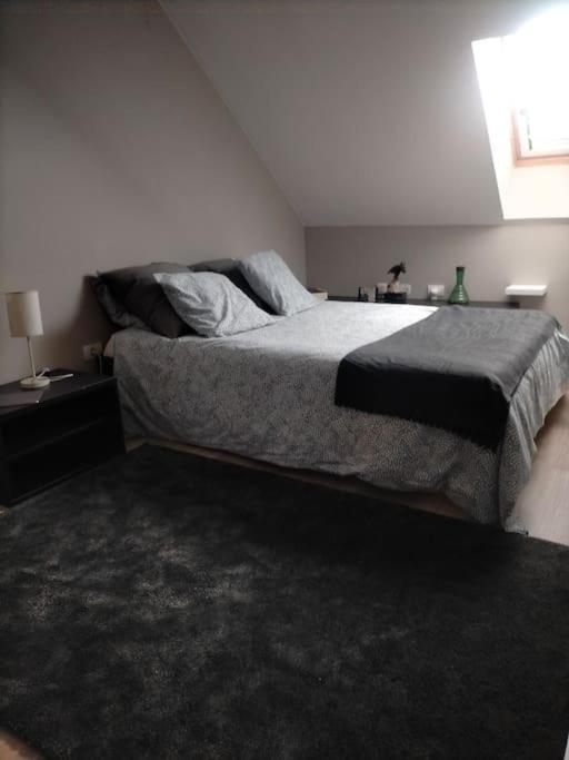 Luminoso Duplex En Canteras Apartment